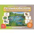 :  - Игра"Растения и обитатели пресноводных водоемов". Д-515