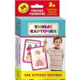 russische bücher:  - Как устроен человек (набор из 36 карточек)