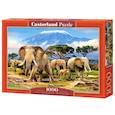 :  - Puzzle-1000 C-103188 Слоны