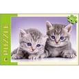 :  - Пазлы 60 элементов. Забавные котята (П60-2224)