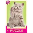 :  - Пазлы 104 элемента. Самый любимый котенок (П104-2633)