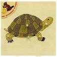 :  - Деревянный пазл "Черепаха"