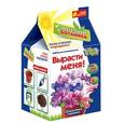 :  - Увлекательная ботаника. Вырасти меня. Душистый горошек