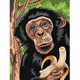 :  - Набор для раскрашивания детский "Шимпанзе"