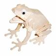 :  - Сборная деревянная модель "Лягушка"  M044