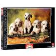 :  - Пазл-500 "Лабрадоры"