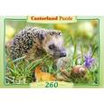 :  - Puzzle-260 B-26777 Ежик