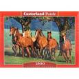 :  - Puzzle-1500.С-150748 Лошади