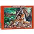 :  - Puzzle-3000 "Ягуары в джунглях" (С-300280)