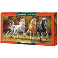 :  - Пазл "Лошади" (4000 элементов)