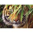 :  - Пазл "Тигр" (260 деталей)