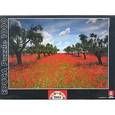 :  - Пазл "Маковое поле" (1000 деталей)