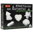:  - 12126004Р Кристаллы на магнитах (белые)