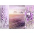 :  - Trefl.Puzzle. Лавандовые поля
