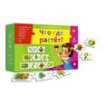 :  - Развивающая игра "Что где растет"