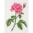 :  - Набор для вышивания "Роза" (гладь)