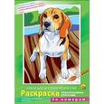 :  - Раскраска по номерам "Любимые домашние животные" (12 цветов)