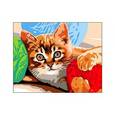 :  - Холст с красками "Рисование по номерам. Котенок с клубком"