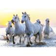 :  - Пазл "Белые лошади на закате" (1000 деталей)