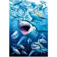 :  - Пазл "Стая акул" (500 деталей)