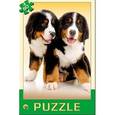 :  - Пазл "Забавные щенки"