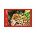 :  - Puzzle-1000  Леопард