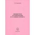russische bücher: Боровикова Елена Владимировна - Бюджетное планирование в условиях кризиса