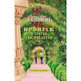russische bücher: Усанин Александр Евгеньевич - Пропуск в третье тысячелетие