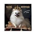 russische bücher:  - Шпицы. Календарь настенный на 2026 год (300х300)