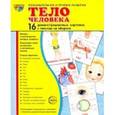 russische bücher: Цветкова Т.В. - Демонстрационные картинки "Тело человека"