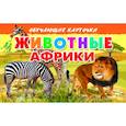 russische bücher:  - Карточки. Животные Африки