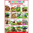 russische bücher:  - Плакат. Животные Австралии (550х770)