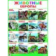 russische bücher:  - Плакат. Животные Европы (550х770)