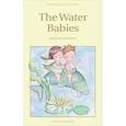 russische bücher: Kingsley Charles - Water Babies