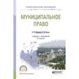 russische bücher: Овчинников И.И., Писарев А.Н. - Муниципальное право. Учебник и практикум для СПО