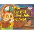 russische bücher: Максименко Н.И. - 2 уровень. Почему сова летает только ночью. Why the owl flies only by night (на английском языке)