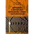 russische bücher: Фомин Василий Михайлович - Энергообмен в сверхзвуковых газоплазменных течениях с ударными волнами