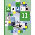 russische bücher: Левкин Антон Николаевич - Химия. 11 класс. Учебник. Углублённый уровень