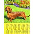 :  - 2018 Календарь "Год собаки. Такса в саду" (90819 )