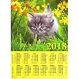 russische bücher:  - Календарь настенный на 2018 год "Котенок в траве"