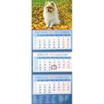 :  - Календарь квартальный на 2018 год "Год собаки. Померанский шпиц" (14811)