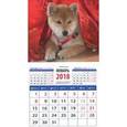 russische bücher:  - Календарь магнитный на 2018 год "Год собаки. Щенок акита-ину"