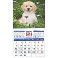 russische bücher:  - 2018 Календарь "Год собаки. Щенок голден ретривера среди цветов" (20827)