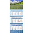:  - Календарь квартальный на 2018 год "Пейзаж с васильками" (14844)