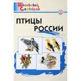 russische bücher:  - Птицы России. Начальная школа. ФГОС