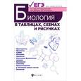 russische bücher: Заяц Роман Георгиевич - Биология в таблицах, схемах и рисунках