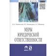 russische bücher: Липинский Д. А., Хачатуров Р. Л., Шишкин А. Г. - Меры юридической ответственности. Монография