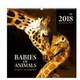 russische bücher:  - Календарь на гребне с ригелем на 2018 год «Мамы и малыши»