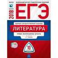 russische bücher: Зинин С.А. - ЕГЭ-2018. Литература. Типовые экзаменационные варианты. 10 вариантов