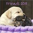 russische bücher:  - Календарь 2018 "Друзья" 30*30 (95283)
